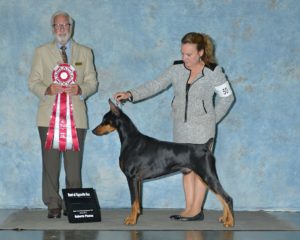 Wind River Dobermans